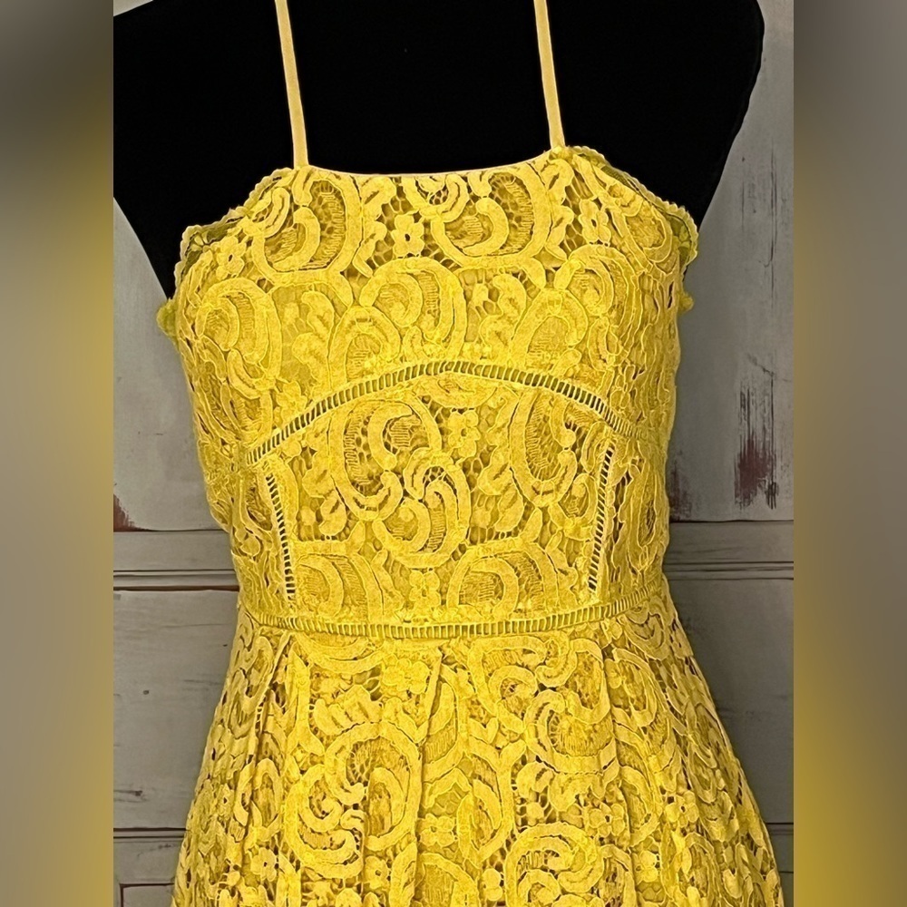 J.O.A. Golden Yellow Lace backless halter midi dress S - Picture 3 of 9